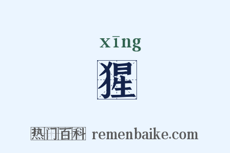 猩是什么意思的图片